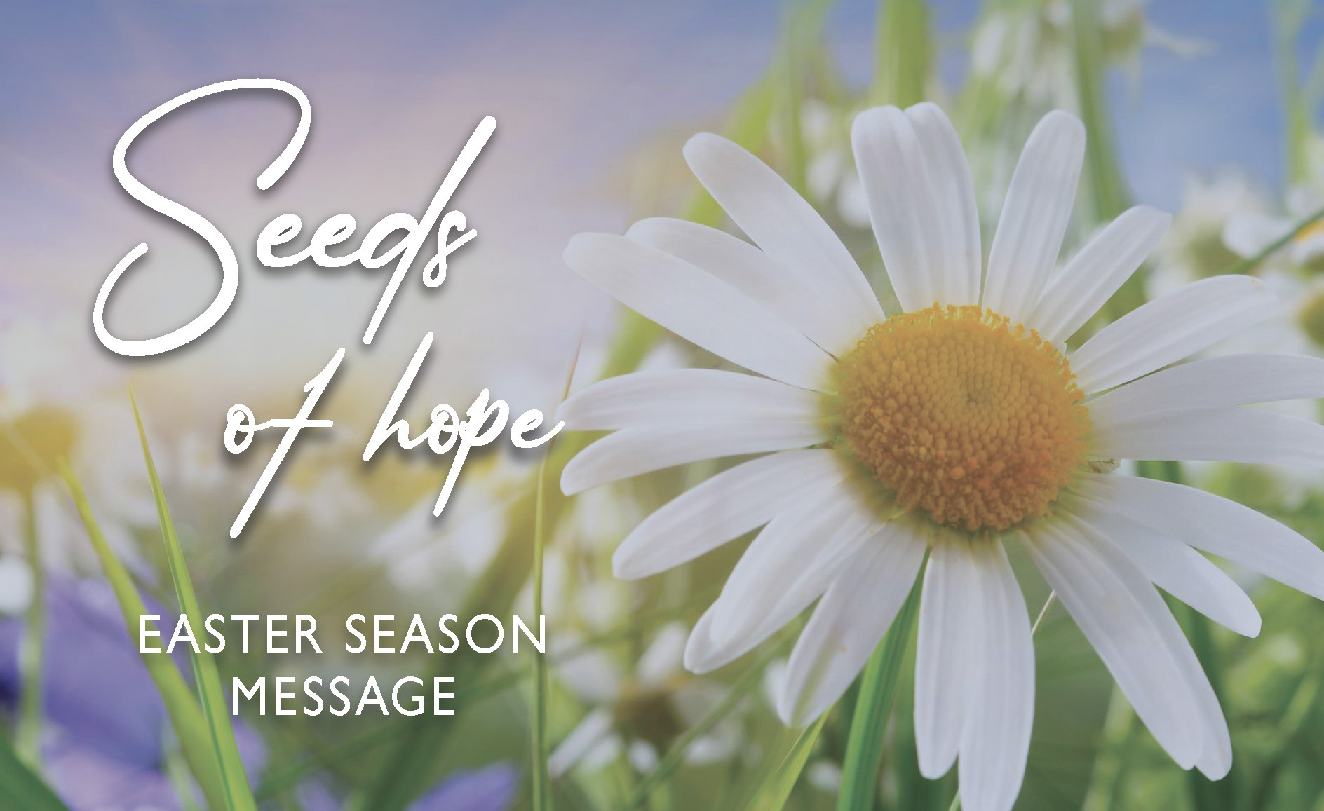 Message Series image