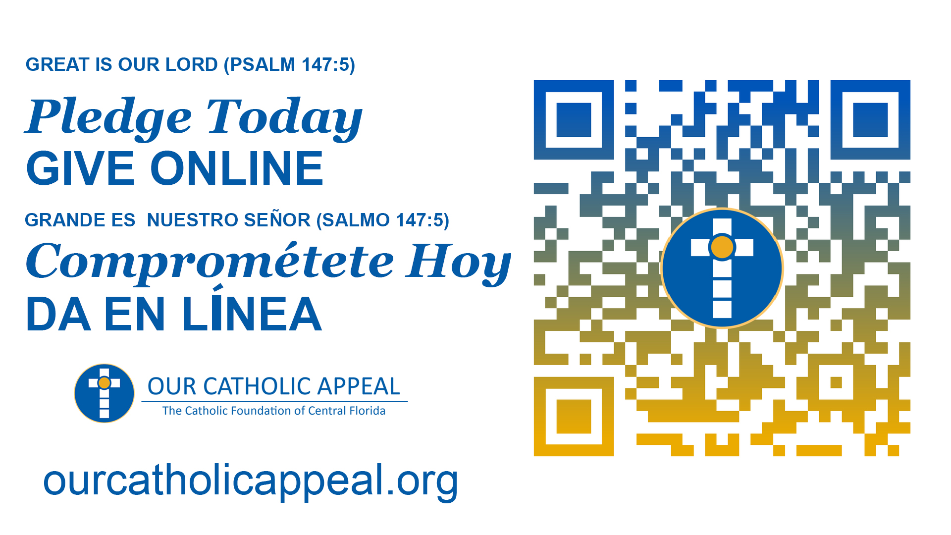 Our Catholic Appeal image header