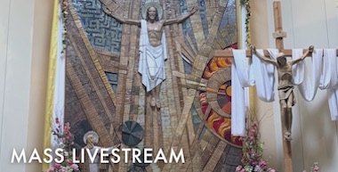 Live stream Mass image